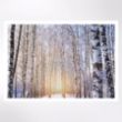 Picture of Sunlight amongst the trees Christmas cards