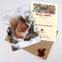 Show details for Winter wildlife Picture of Winter wildlife