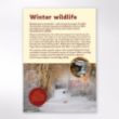 Picture of Winter wildlife