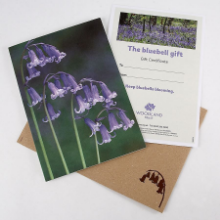 Keep bluebells blooming virtual gift Keep bluebells blooming virtual gift