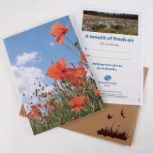 A breath of fresh air gift pack A breath of fresh air gift pack