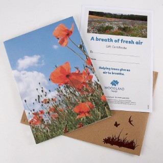 A breath of fresh air gift pack