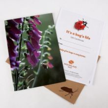 It's a bug's life gift pack It's a bug's life gift pack