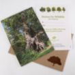 Homes for wildlife virtual gift pack