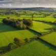 Established hedgerows and fields