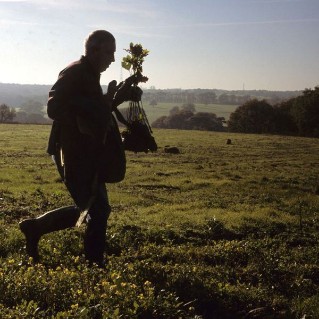 Landowner planting sapling to create shelterbelt