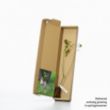 Grey willow sapling in a box