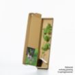 Guelder rose sapling in a box