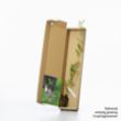 White willow sapling in a box