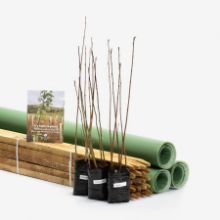 Urban pack with tubes and stakes protection Urban pack with tubes and stakes protection