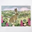 Picture of Woodland Trust notecards - countryside scenes