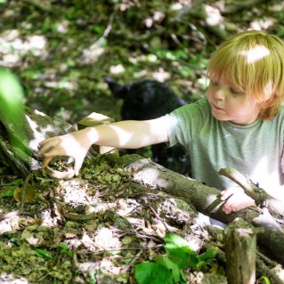 Picture of Mini bird pizza kit