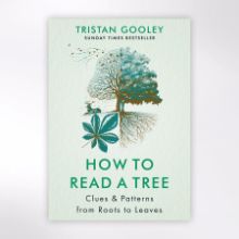 Show details for How to read a tree Picture of How to read a tree