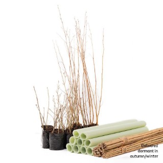 TTD pack of 45 with easywraps protection