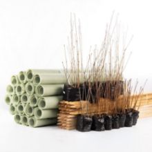 Bundled saplings and tubes and stakes protection 	Bundled saplings and tubes and stakes protection
