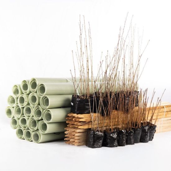 	Bundled saplings and tubes and stakes protection