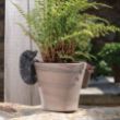 Picture of Hedgehog plant pot hanger