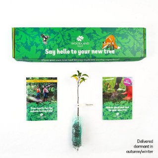 Kid's tree planting kit