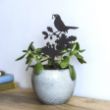 Picture of Pot stem - blackbird