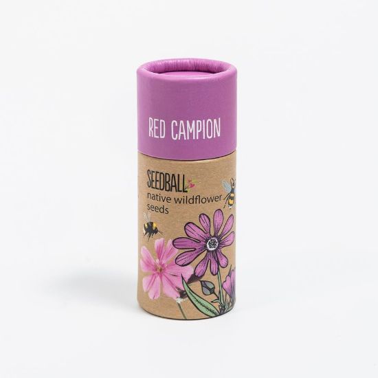 Picture of Seedball wildflower tube - red campion
