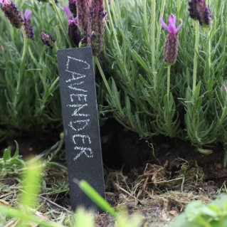 Picture of Slate plant markers