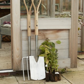 Picture of Woodland Trust digging spade
