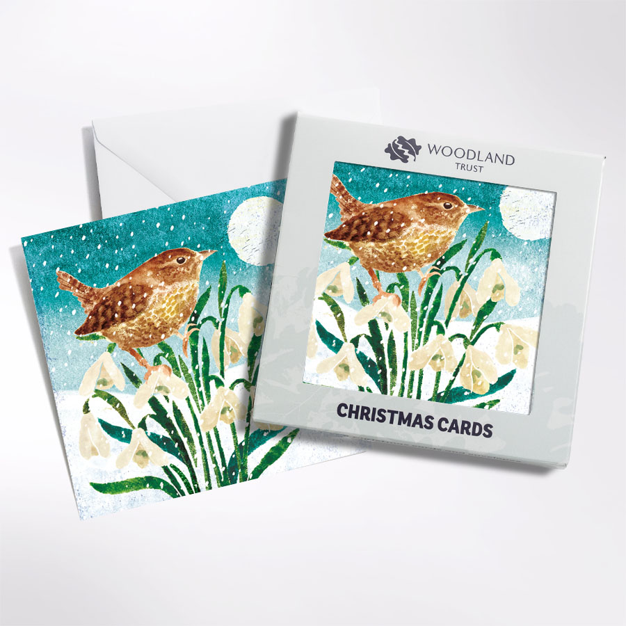 Wren on snowdrops Christmas cards | Woodland Trust Shop