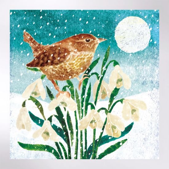 Picture of Wren on snowdrops - Christmas cards