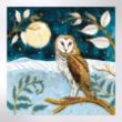 Picture of Winter barn owl - Christmas cards