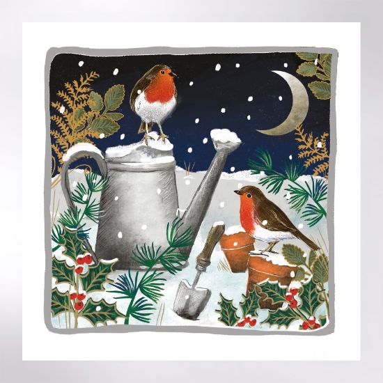 Picture of Garden robins - Christmas cards