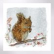 Picture of Squirrel in the snow - Christmas cards