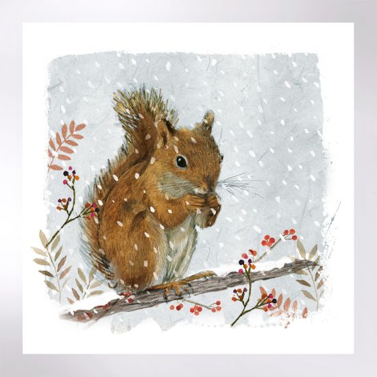 Picture of Squirrel in the snow - Christmas cards