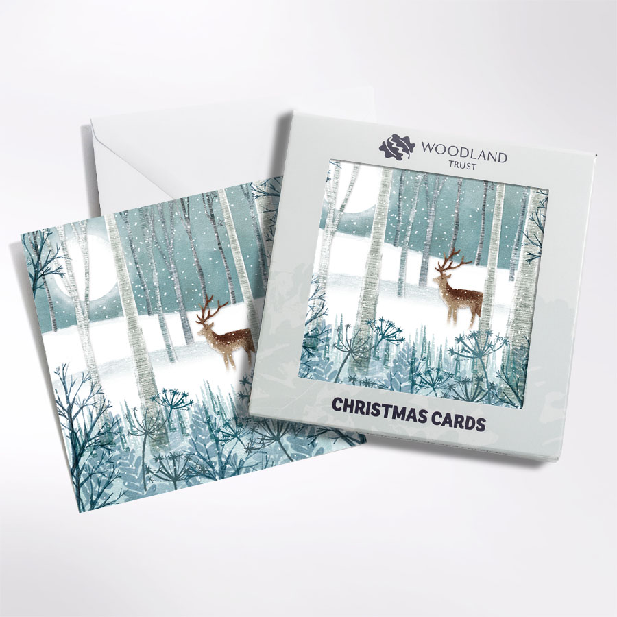 Moonlit forest Christmas cards | Woodland Trust Shop