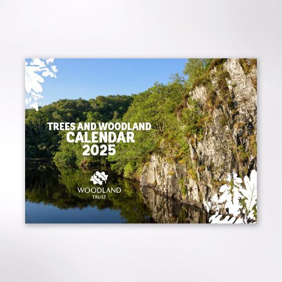 Picture of Woodland Trust tree calendar 2025