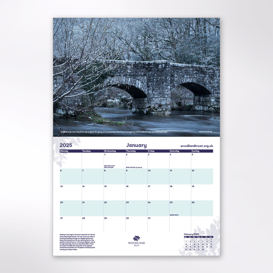 Woodland Trust Tree & Woods Calendar 2025 Woodland Trust Shop