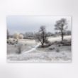 Picture of Woodland Trust tree calendar 2025