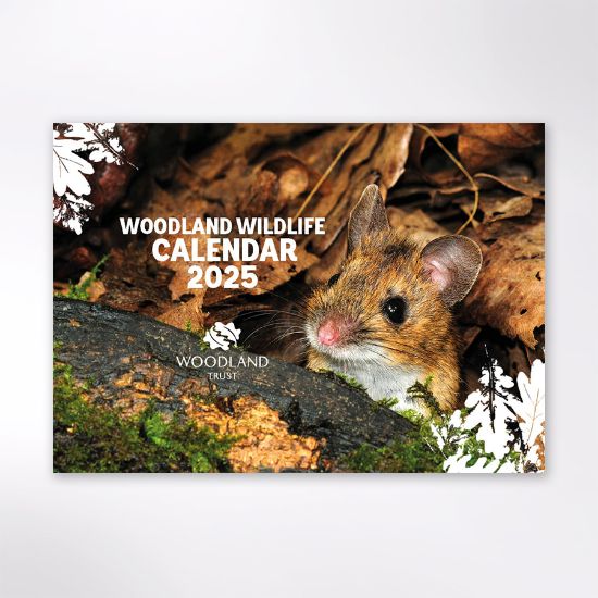 Picture of Woodland Trust wildlife calendar 2025