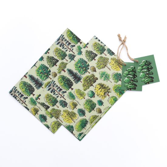 Picture of Woodland Trust gift wrap and tags - celebration of trees