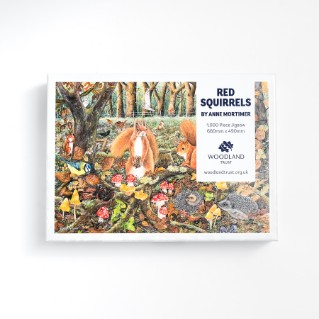 Picture of Woodland Trust red squirrels jigsaw