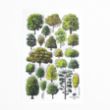 Picture of Woodland Trust tea towel - British trees 