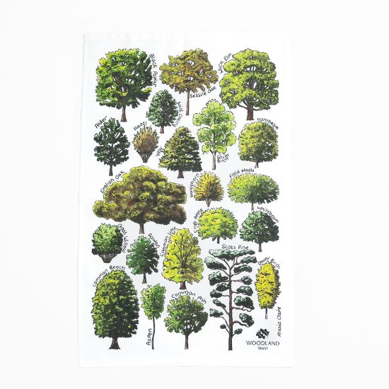 Picture of Woodland Trust tea towel - British trees 