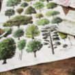 Picture of Woodland Trust tea towel - British trees