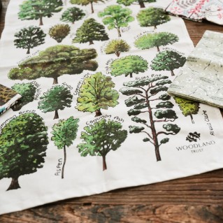 Picture of Woodland Trust tea towel - British trees