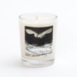 Picture of Wild woods candle 9cl 