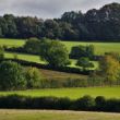 Established hedgerows and fields