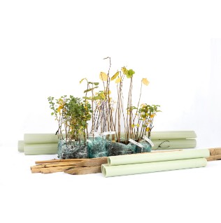 Picture of Horse and livestock hedgerow tree pack