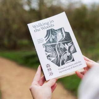 Picture of Walking in the Woods