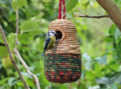 View all items in this category Picture for category Habitats, Bird Feeders and Boxes