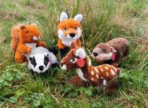 Picture for category Toys
