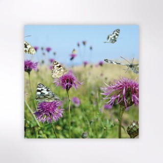 Picture of Woodland Trust notecards - wildflowers